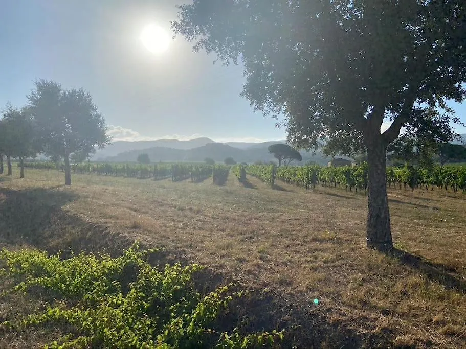 Сasa Dell'Arancia Villa San Vincenzo