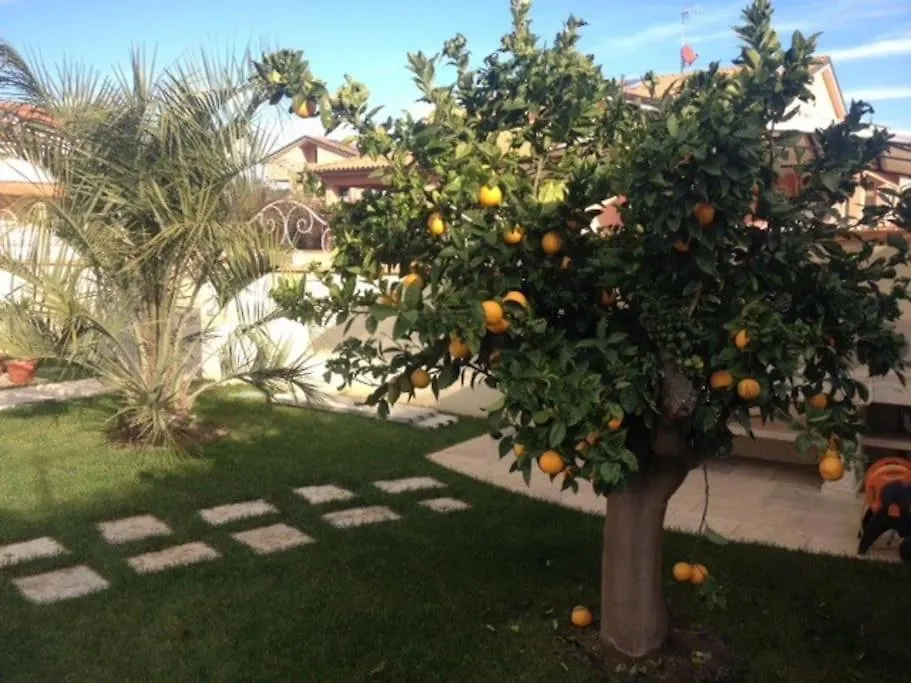 Сasa Dell'Arancia Villa San Vincenzo