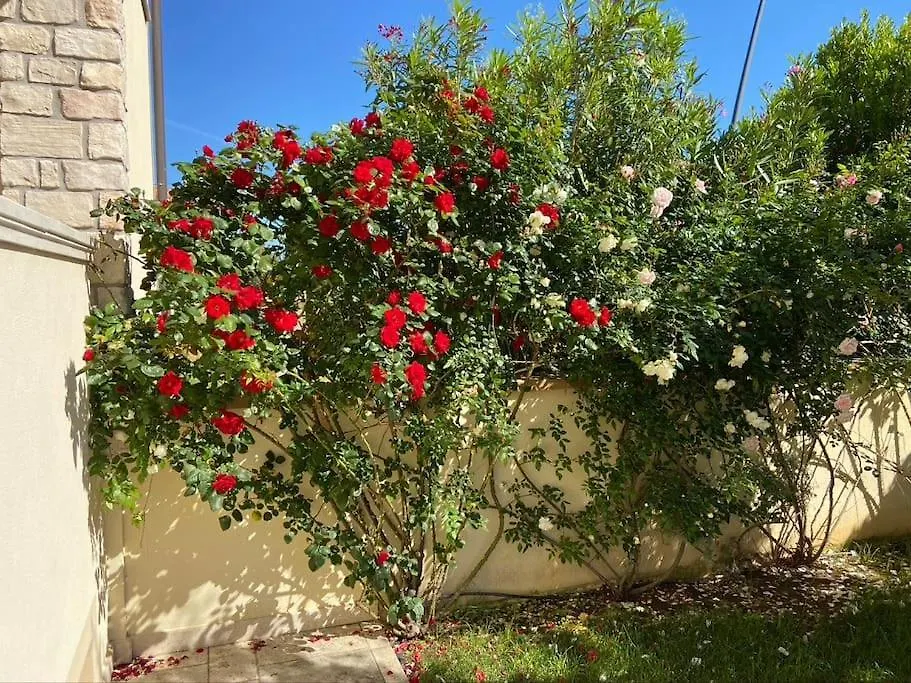 Сasa Dell'Arancia Villa San Vincenzo 0*,